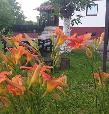 Guest House Antonela Smoljanac Bagian luar foto