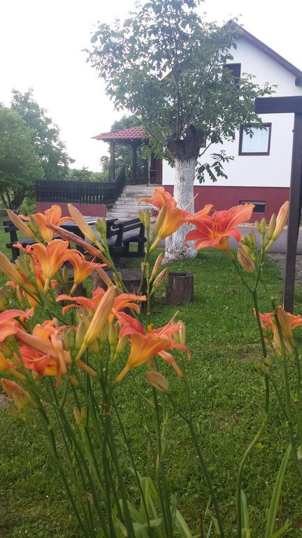 Guest House Antonela Smoljanac Bagian luar foto