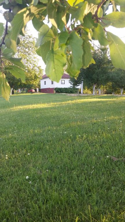 Guest House Antonela Smoljanac Bagian luar foto