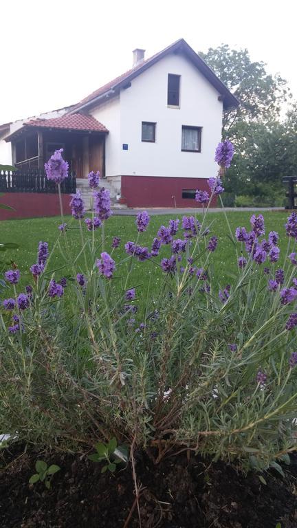 Guest House Antonela Smoljanac Bagian luar foto