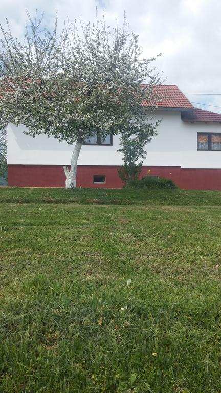 Guest House Antonela Smoljanac Bagian luar foto